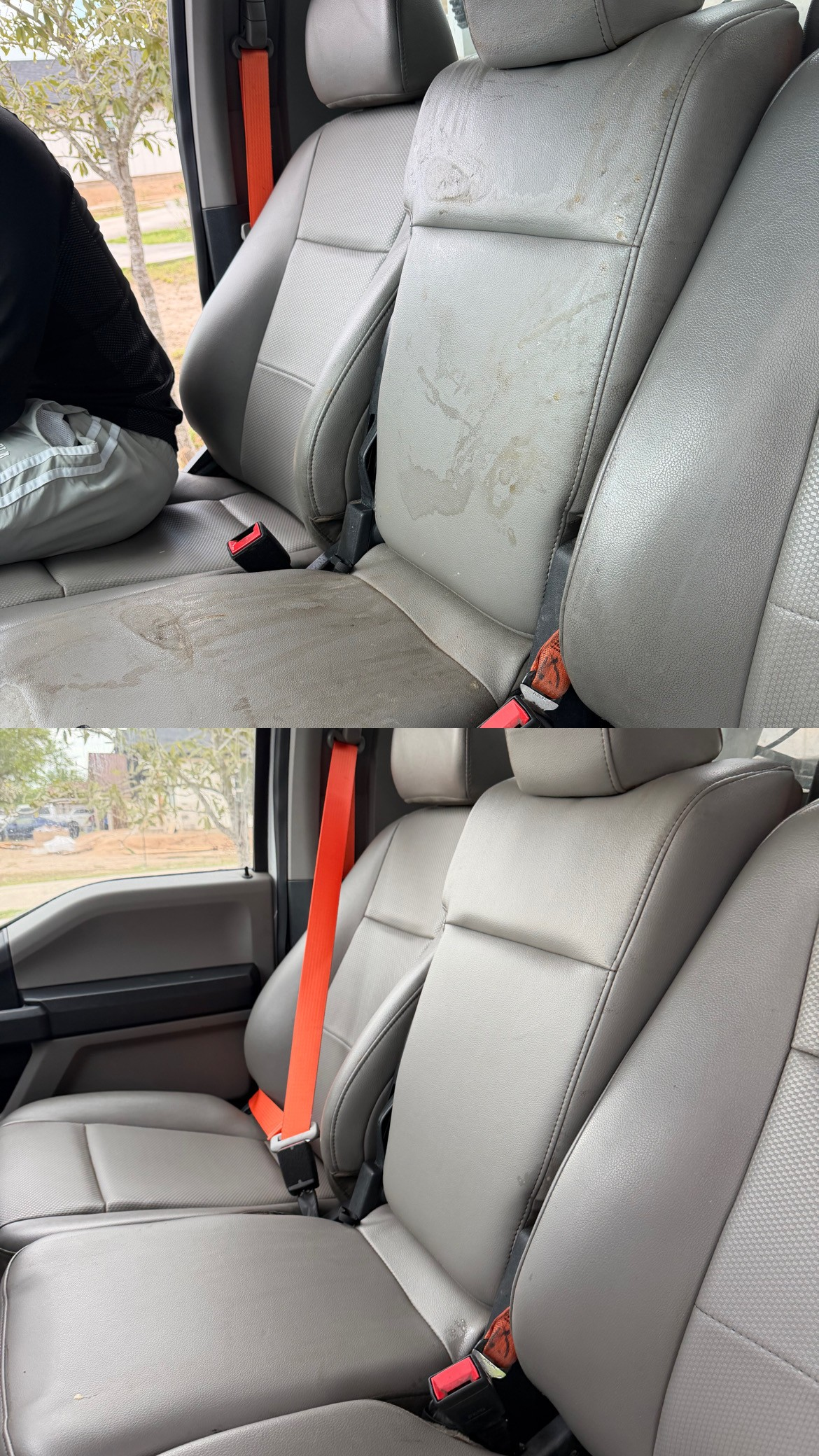 Before and after interior leather seat cleaning
